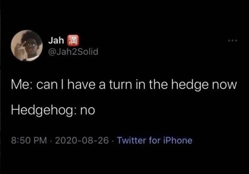 Me: can I have a turn in the hedge now Hedgehog: no